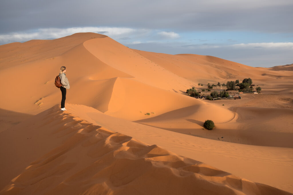 2 night camel trip