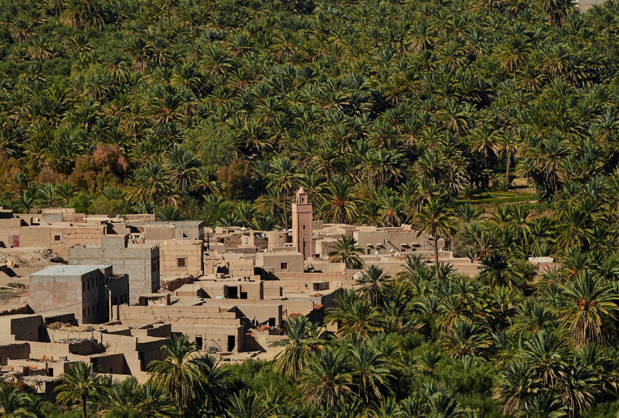 Errachidia desert tours