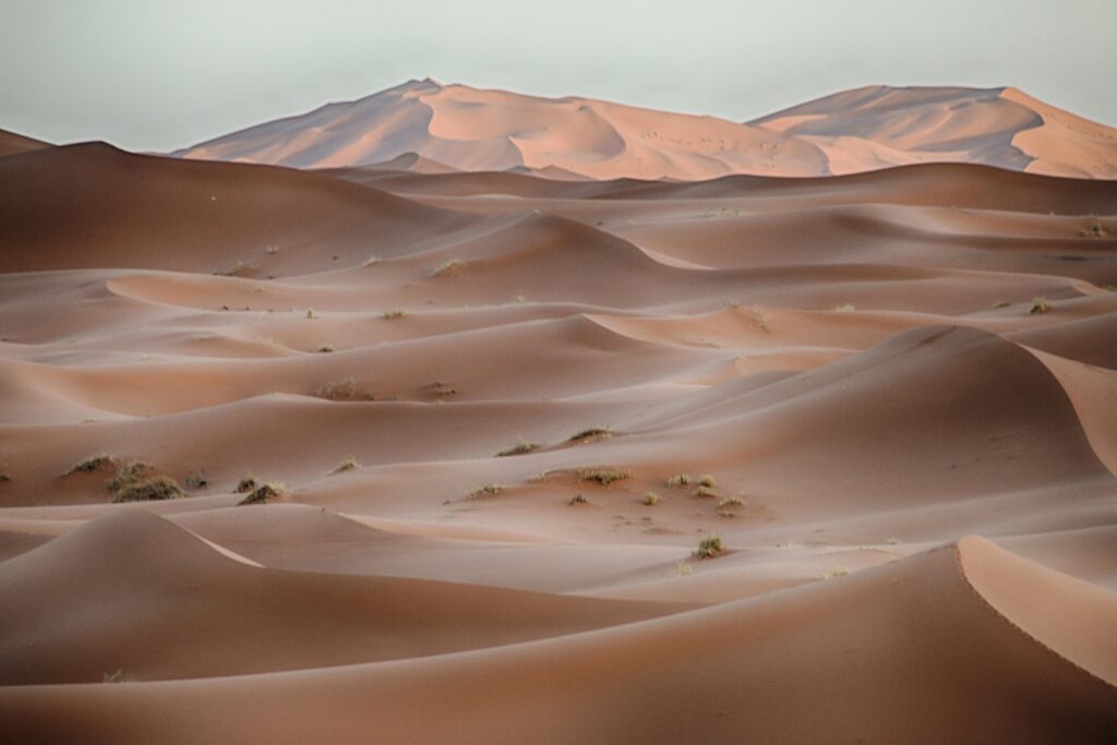 erg chebbi dunes ,