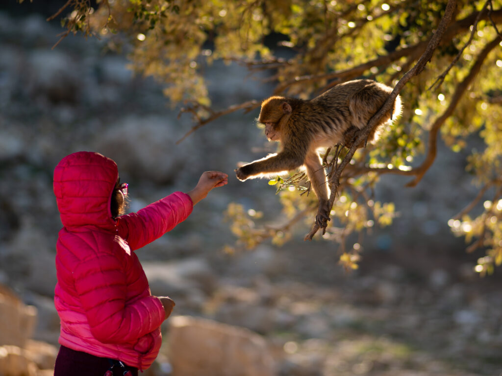2 Days Desert Tour from Fes to Merzouga
